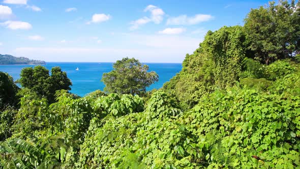 Aerial View of Beautiful Phuket Coastline and Beach