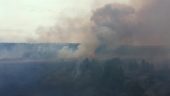 Flying above wildfire in the Chernobyl zone. Fire in the Chernobyl forest