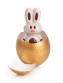 Easter egg with chocolate bunny - PhotoDune Item for Sale