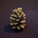 Cartoon Pine Cone 3D Model - 3DOcean Item for Sale