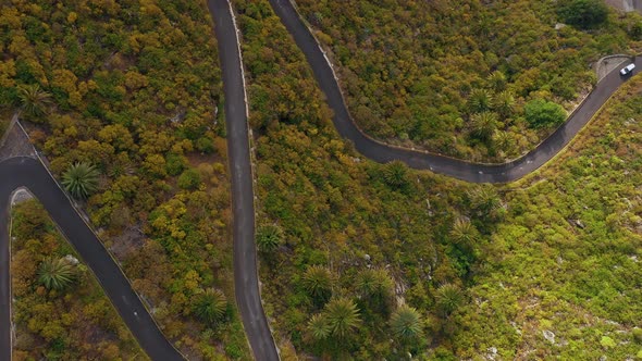 Top View of the Surface of the Island of Tenerife Car Drives on a Winding Mountain Road in a Desert