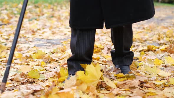 An Elderly Man with Visual Impairments Tries to Walk Through the City's Autumn Park