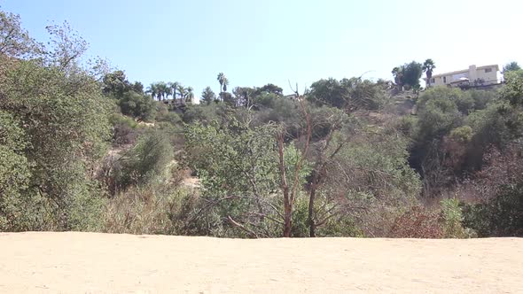 A young woman runner trail running.