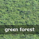 Green Forest Texture - 3DOcean Item for Sale