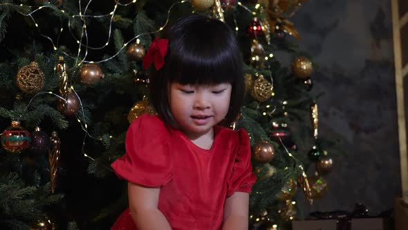 Korean Girl Child in a Red Dress Stands at the Christmas Tree in New Year