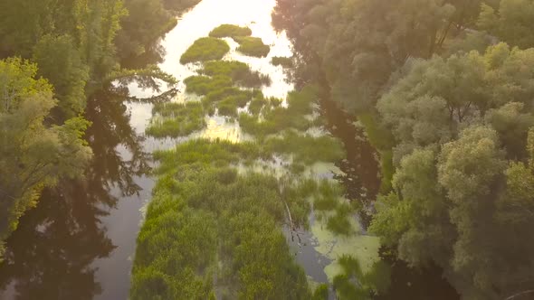 Flight Over the River Overgrown with Grass Ukraine Surrounded By Trees  Aerial Videotaping