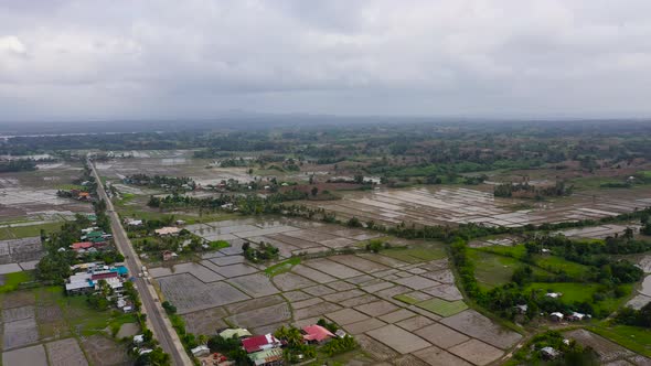 Road Along Rice Fields Top View