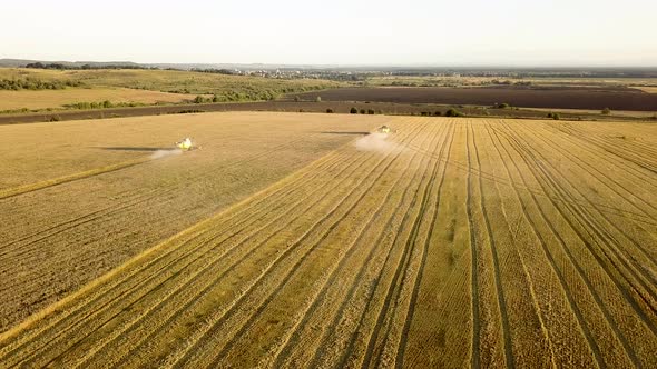 Aerial view of combine harvester harvesting large golden ripe wheat field. 