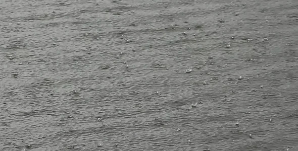 River in Heavy Rain (Raindrops at the Water) alt