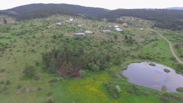 Small Forest Village Houses Among Sparse Trees