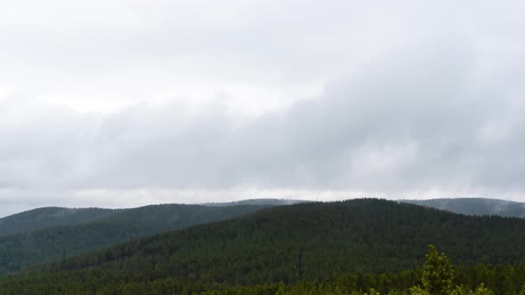 Fog Covering the Mountain Forest