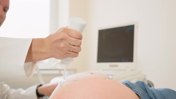 Gynecologist Applying Gel on Belly of Pregnant Woman