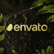 Jungle Rainforest Adventure Intro - VideoHive Item for Sale