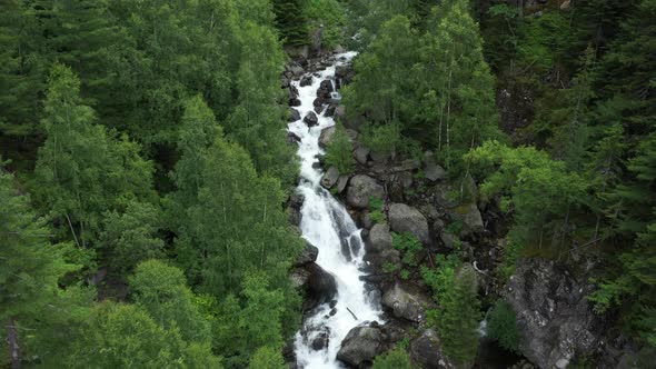 River in Wild Forest