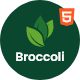 Broccoli - Organic Food HTML Template - ThemeForest Item for Sale