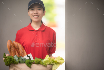 Delivery company worker holding grocery bag, food order, supermarket service / Photodune, Misc