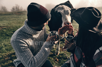 ing the cow while sitting on the valley in mountains