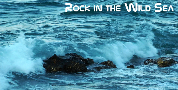Rock In The Wild Sea
