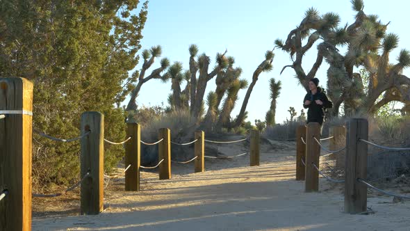 A young fit white man hiker with a backpack hiking alone along a roped dirt walking path through a d