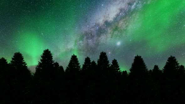 Night Pine Trees Northern Lights Winter Landscape Green Trees