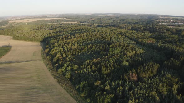 Aerial Drone Shot  a Forest in a Rural Area