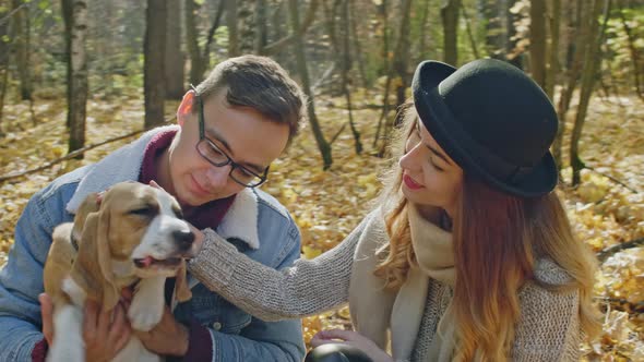 Couple with chewing dog in autumn forest