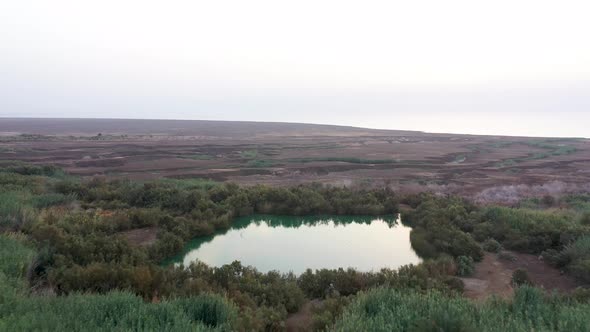 Aerial fly over square pool surrounded by green vegetation in the Israel desert