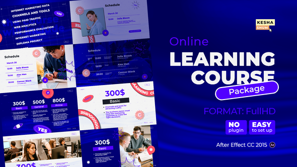 Online learning course Package