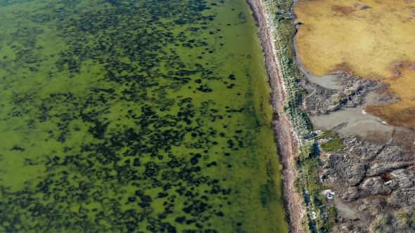 Beautiful flight in summer over salt lakes. Dry lakes. Green grass.