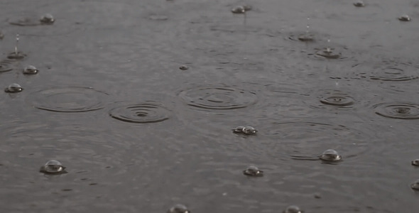 Raindrops Hitting A Puddle