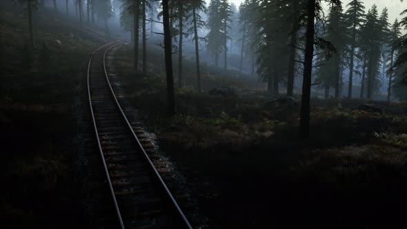 National Forest Recreation Area and the Fog with Railway