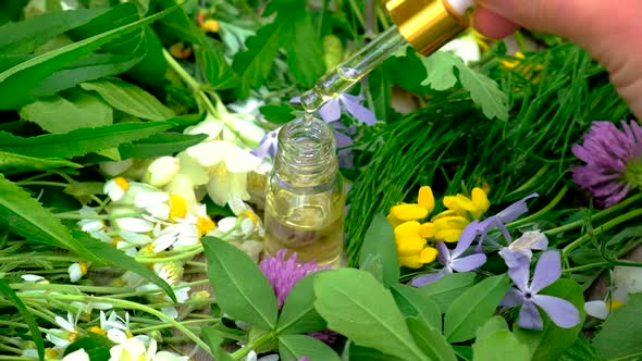 Homeopathy is a Tincture of Medicinal Herbs in a Small Bottle