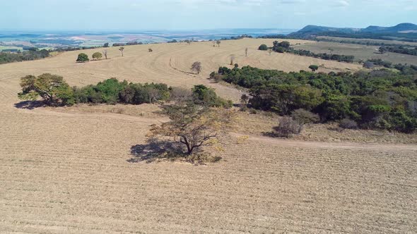 Rural landscape aerial view. Nature scenery