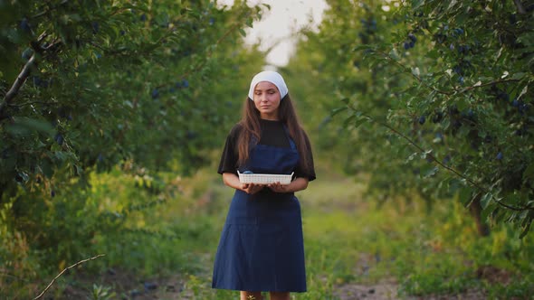 Portrait of Young Woman in Apron Standing with Basket of Fresh Plums