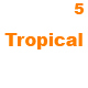 Summer Tropical House Party - AudioJungle Item for Sale