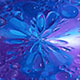 Water Bubbles