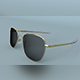 Sunglasses Randolph Aviator Gold Polarized 3D model - 3DOcean Item for Sale