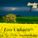 Lost Unicorn
