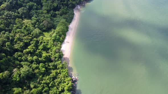 Aerial view look down calm seaside near forest