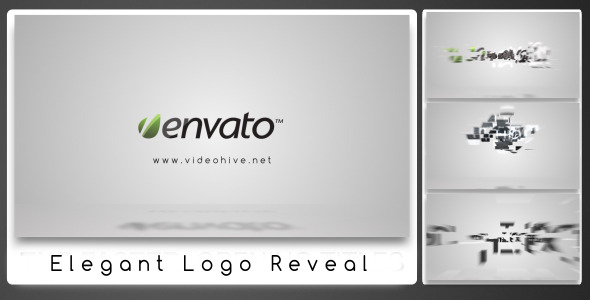 Elegant Logo Reveal