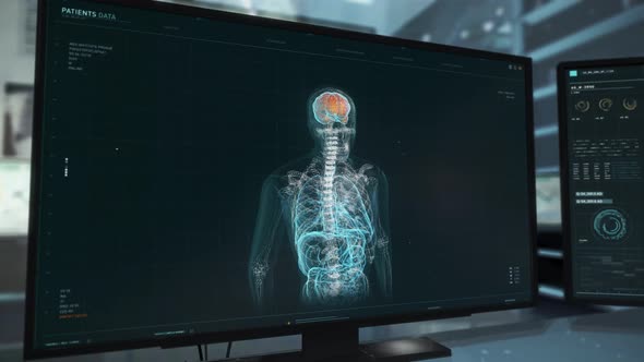 Examination Of Human X-Ray Body Projection In Biology Research Scanner Interface alt