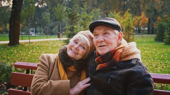 Happy Spouses Grayhaired Grandparents are Talking Hugging and Smiling Sitting on Bench in Autumn