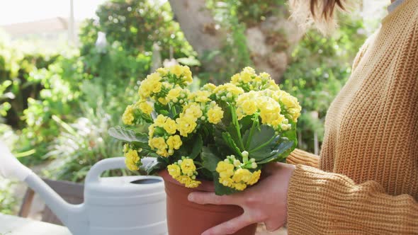 Smiling caucasian woman repotting yellow flowers in sunny garden