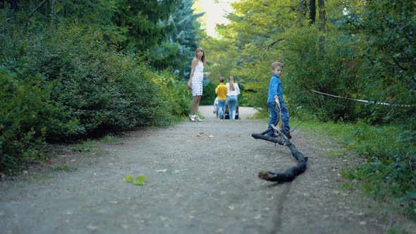 Little Boy Is Dragging a Branch Along the Forest Road