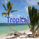 Tropical Summer Pop - AudioJungle Item for Sale