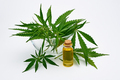Cannabis oil extract - PhotoDune Item for Sale
