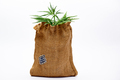 Jute bag with cannabis - PhotoDune Item for Sale