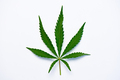 Cannabis leaf - PhotoDune Item for Sale