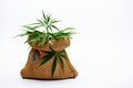Jute bag with cannabis - PhotoDune Item for Sale