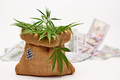 Jute bag with cannabis - PhotoDune Item for Sale